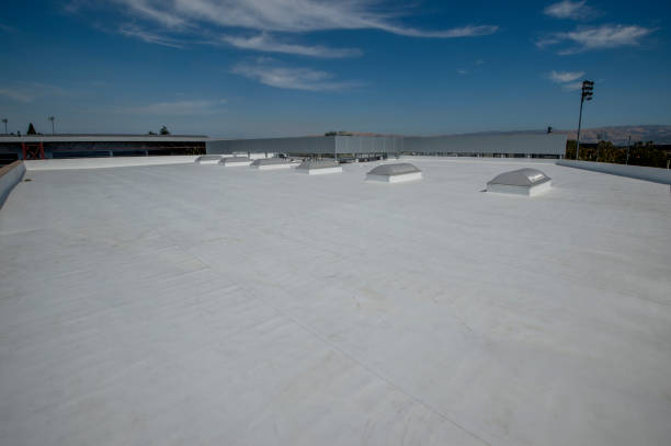 Best Steel Roofing  in Mundelein, IL